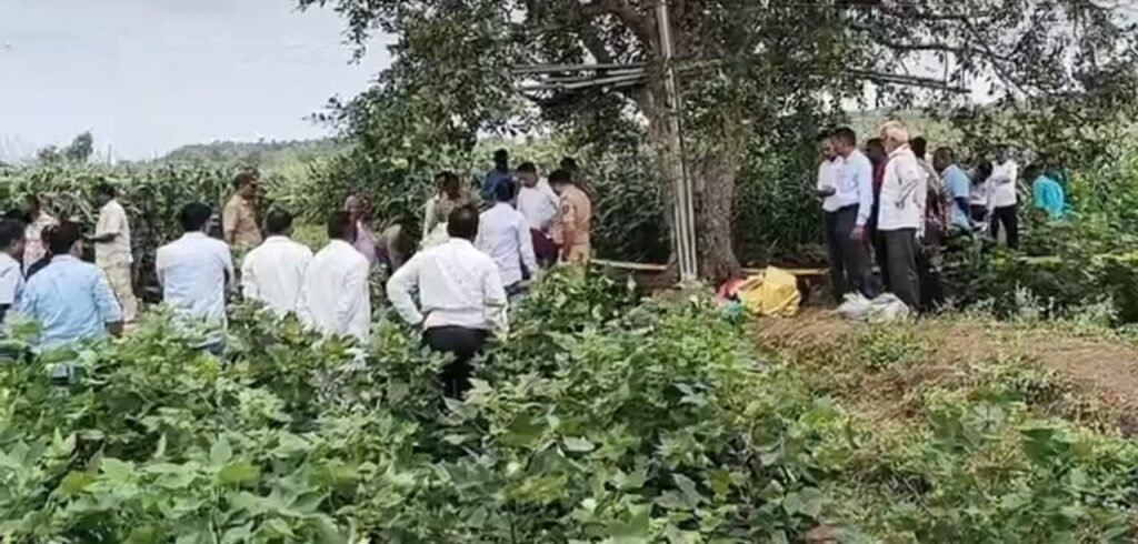 #जलगांव #एरंडोल #वरखेडी #बिजलीहादसा #करंटसेमौत #दुर्घटना #मृत्यु #खेतहादसा #विद्युतशॉक #ग्रामीणक्षेत्र #दुखदघटना #परिवारिकदुर्घटना #बिजलीसुरक्षा #महाराष्ट्रसमाचार #ताज़ाखबर