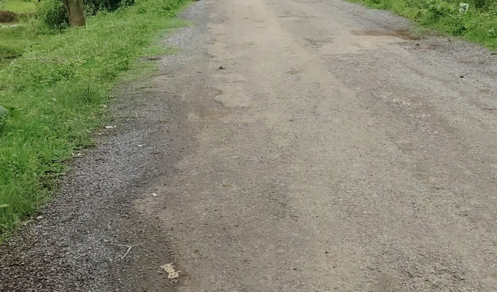 ग्राम पंचायत भैसौडा़