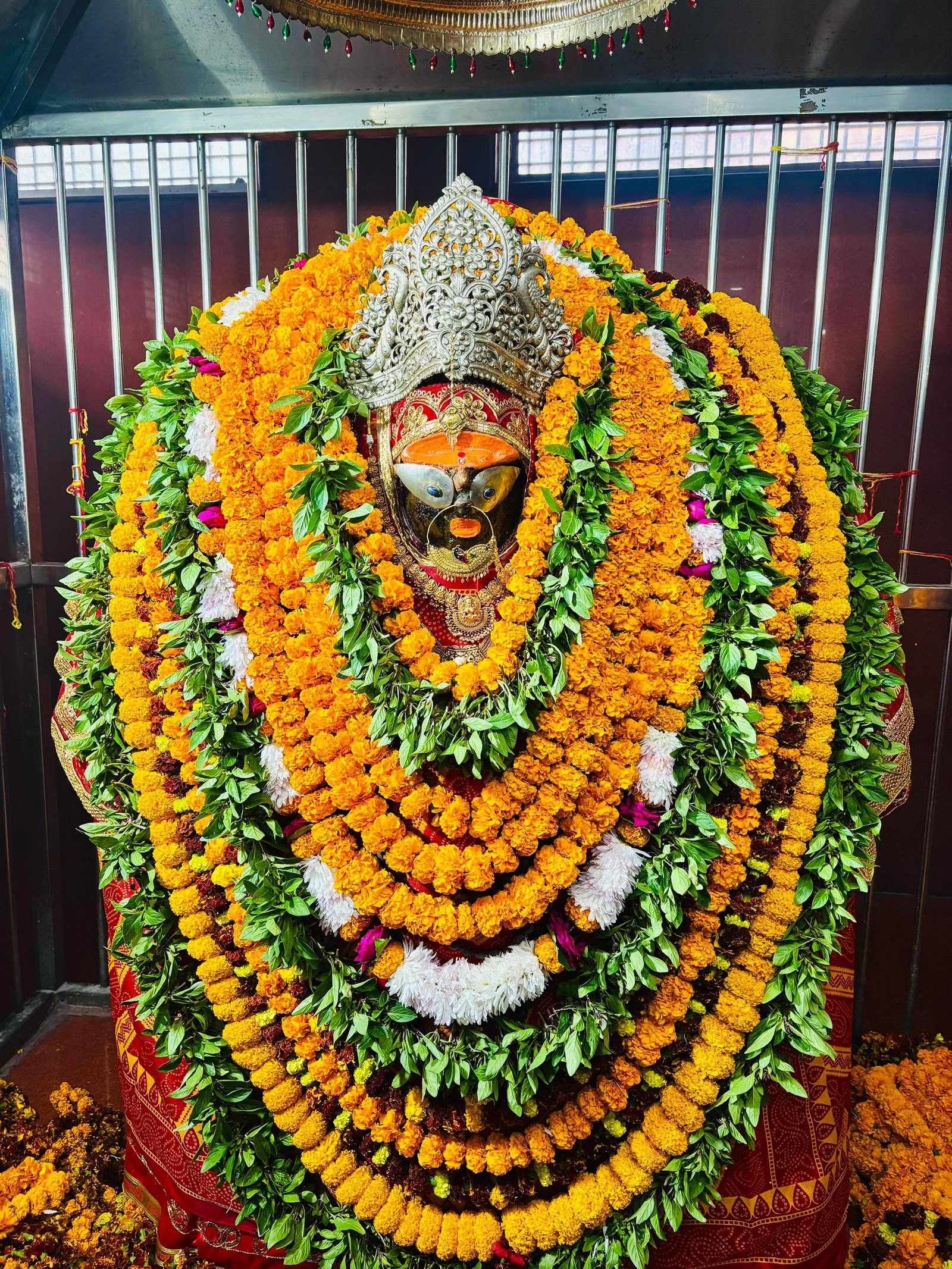 *दाढ़ी राम ग्राम सभा की बदहाल सड़क पर फूटा आक्रोश, ओवरलोड ट्रकों के खिलाफ अनीश कुमार ओझा ने खोला मोर्चा* *पड़री बाजार से मां चंडिका धाम जाने वाले मार्ग की हालत खराब, स्कूली बच्चों