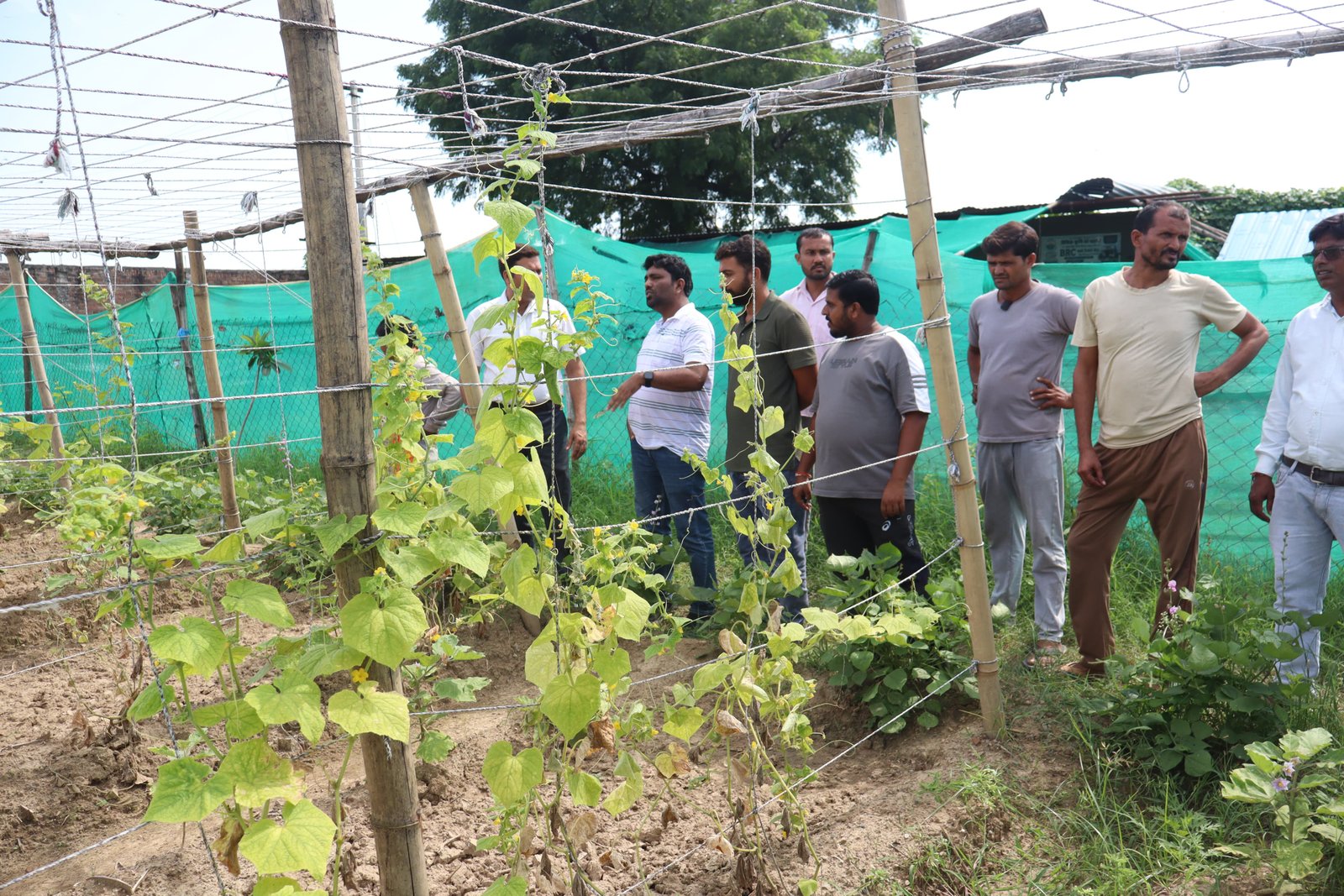 हमीरपुर :158किसानों को दिया गया प्रशिक्षण