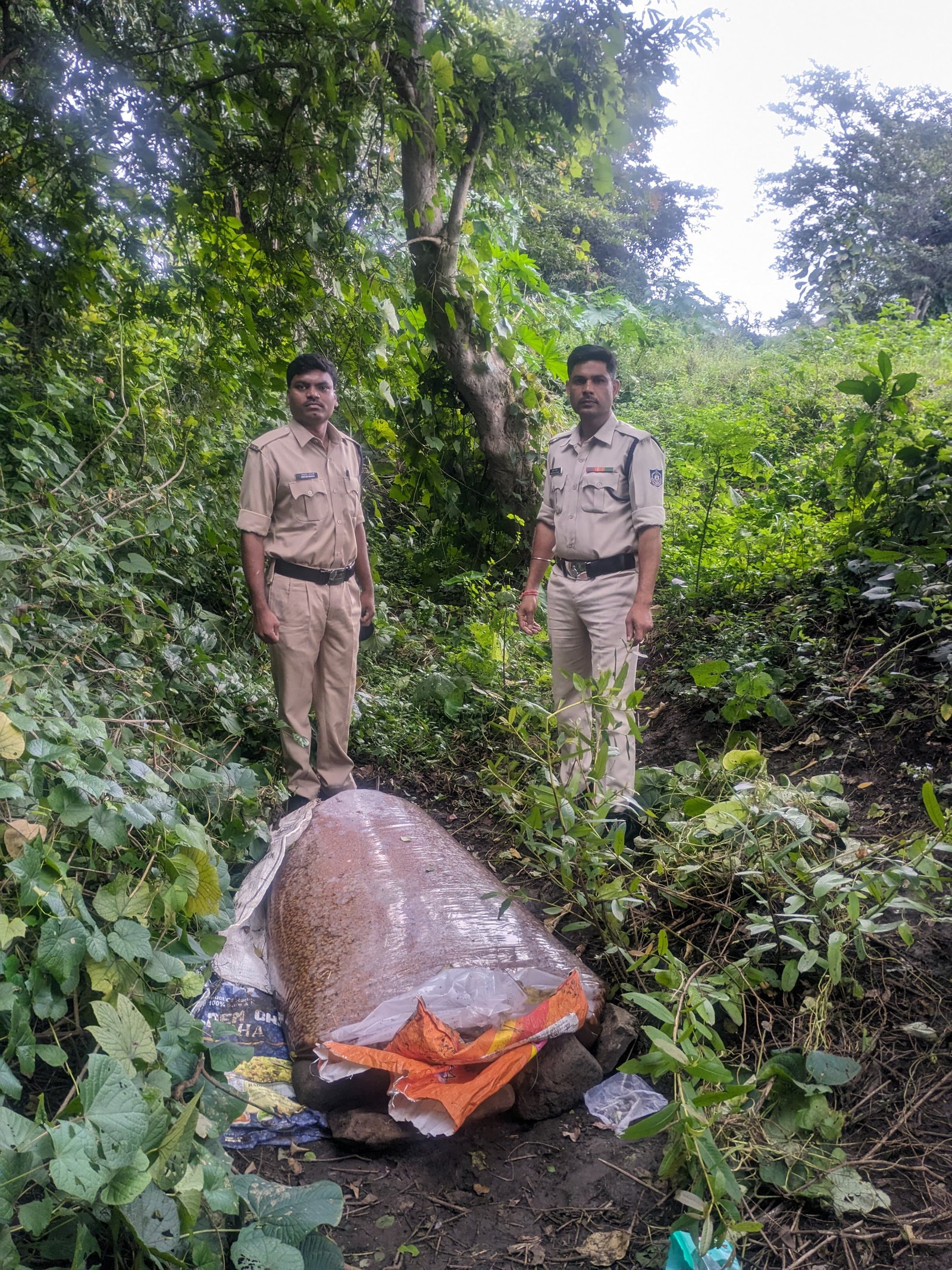 अवैध शराब के कारोबारियों पर आबकारी विभाग का शिकंजा ​पांढुर्णा में की गई बड़ी कार्रवाई, अलग-अलग गांवों में दबिश देकर महुआ लाहन किया नष्ट