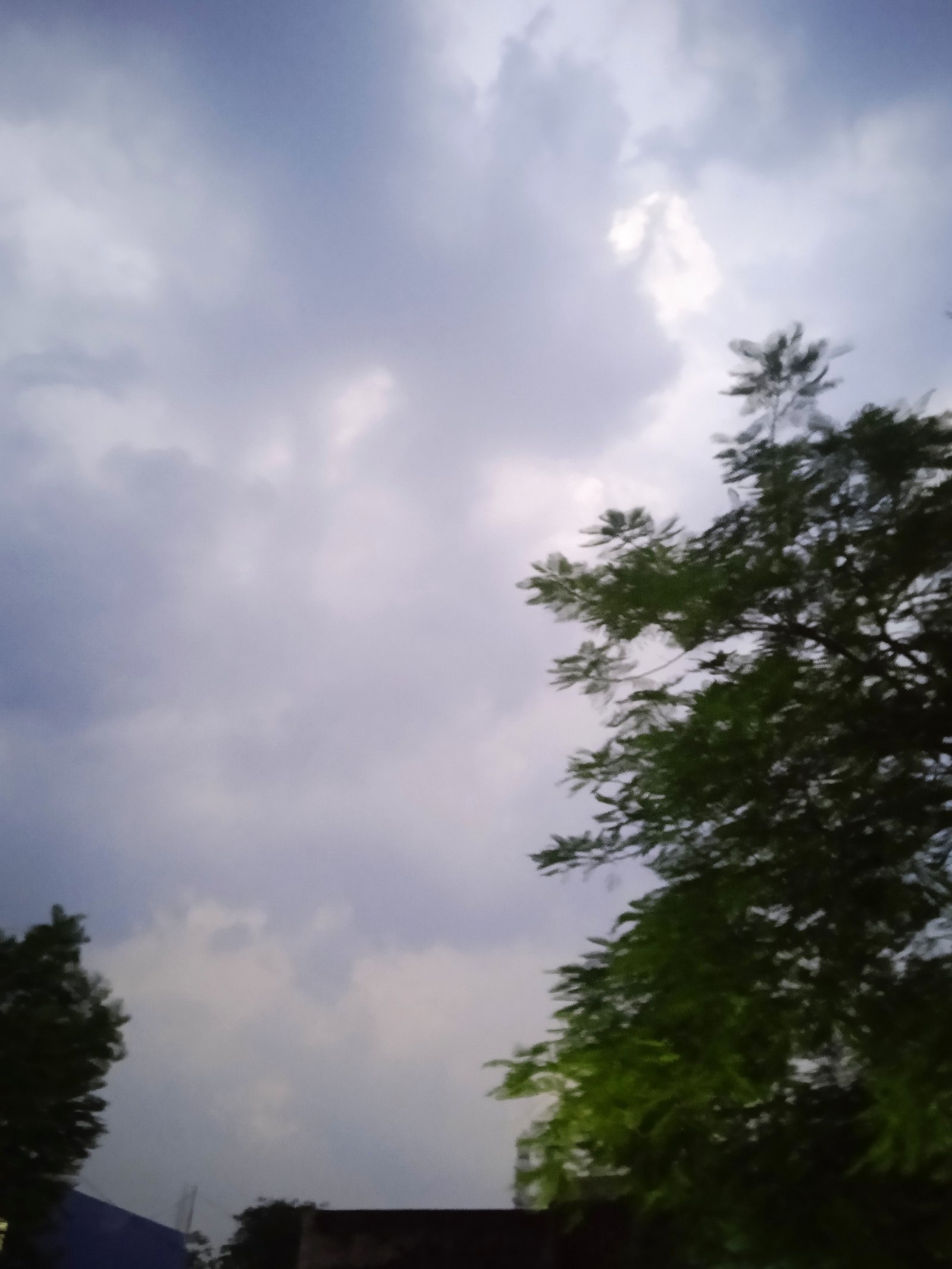 थम नहीं रही बरसात धान फसल की बल्ले