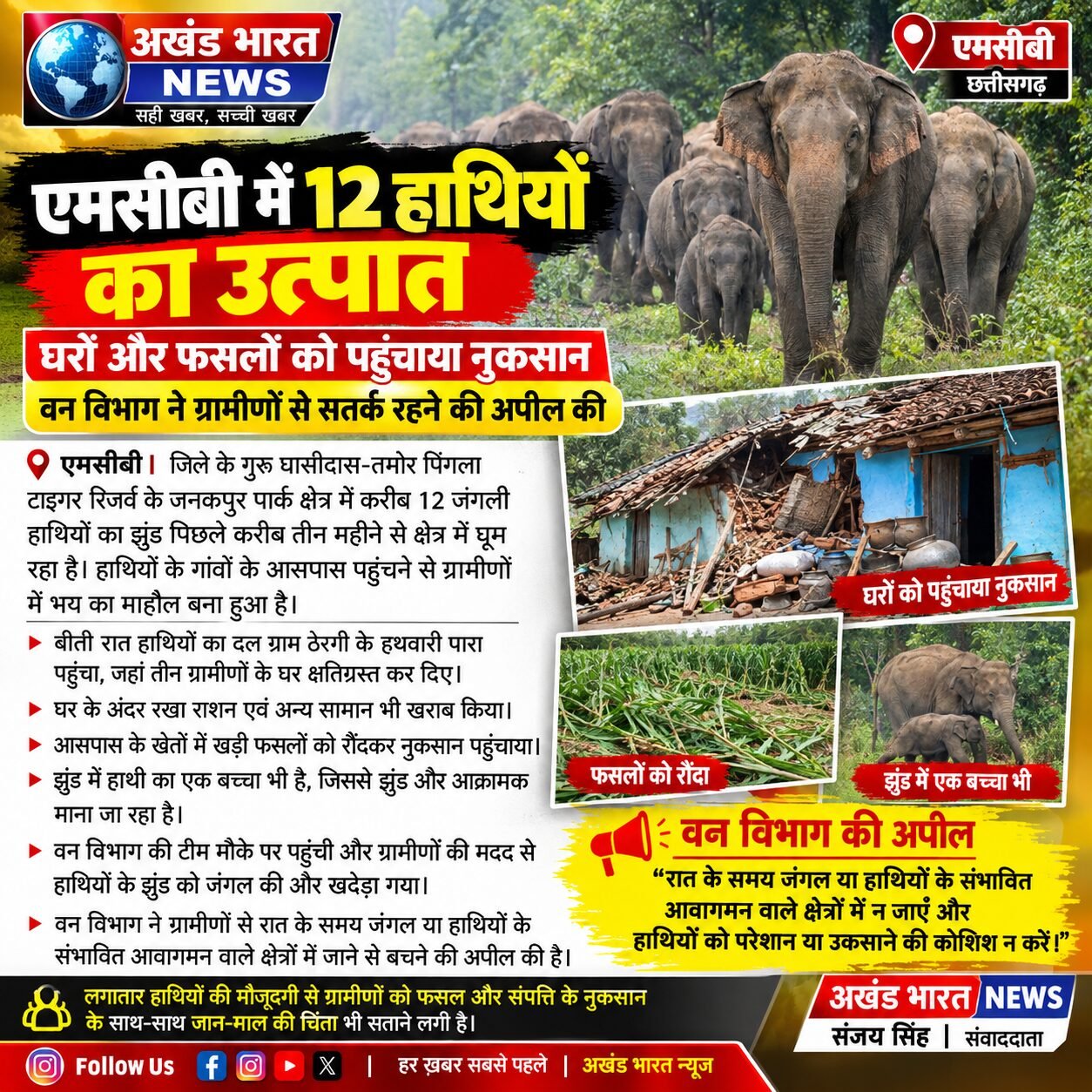 एमसीबी में 12 हाथियों का उत्पात, ग्रामीणों में दहशत