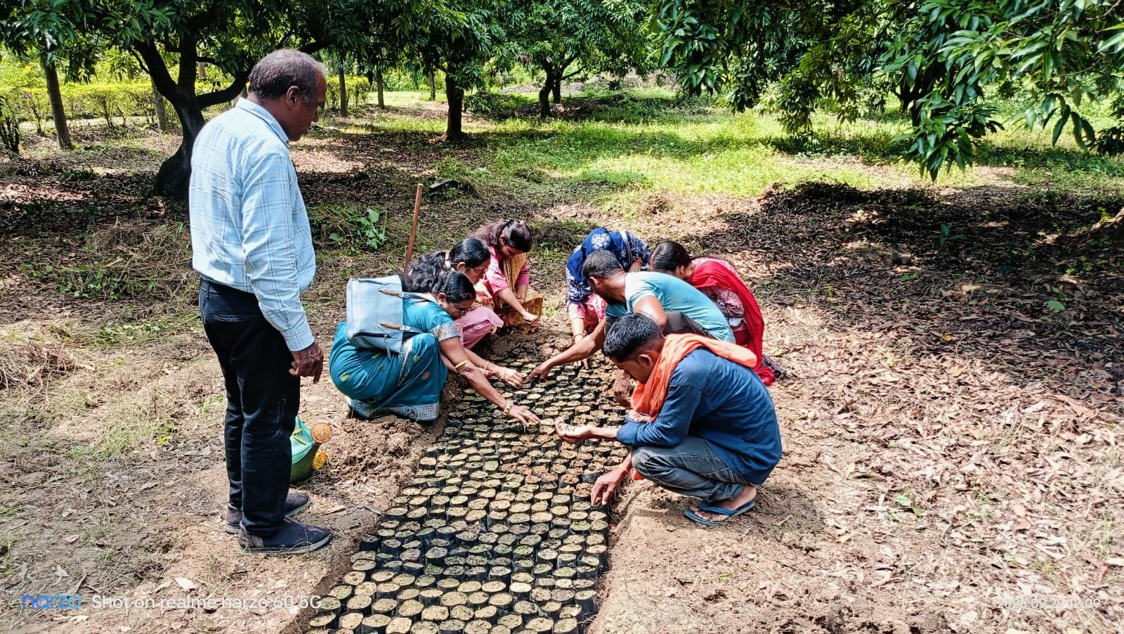 हर विकासखंड में मुनगा पौध उत्पादन और प्रबंधन का प्रशिक्षण, मैदानी अमला हो रहा दक्ष*