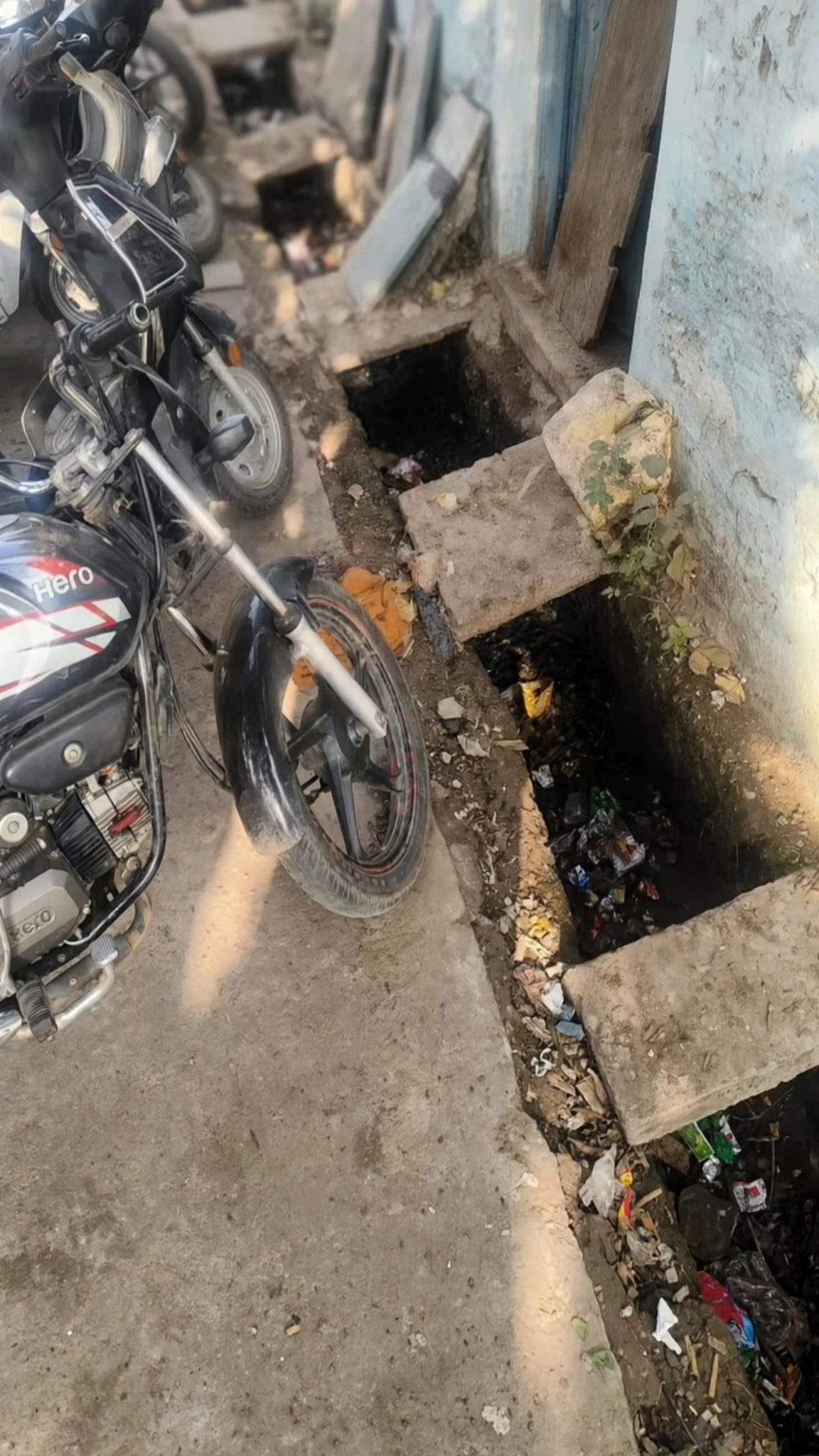 बड़वानी शहर में कुत्ते के मुंह में मिला मानव भूम, इलाक़े में हड़कप।