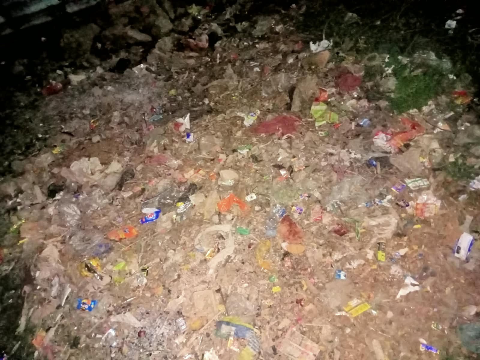 वार्ड 14 भलुआ टोला में साफ सफाई न होने से जनता में भारी आक्रोश