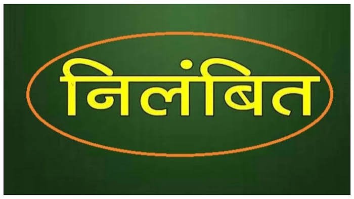 स्वामित्व योजना में लापरवाही पर पटवारी निलंबित, एसडीएम ने जारी किया आदेश